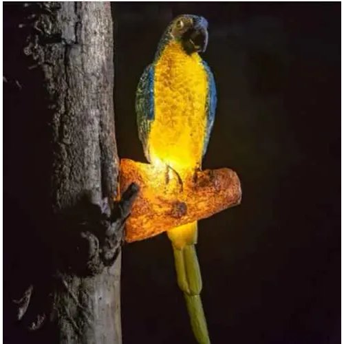 Wall Decor Light Metal & Parrot Type (Model: BT-5317)