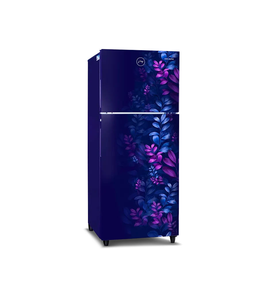 Godrej 238 L 2 Star Inverter Frost Free Double Door Refrigerator Aria Blue (RT EON ALPHA 270C RI AR BL, Aria Blue)