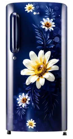LG 210 L 3 Star Direct-Cool Single Door Refrigerator (GL-B231ABHD, Moist 'N' Fresh)