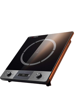 Induction Stove